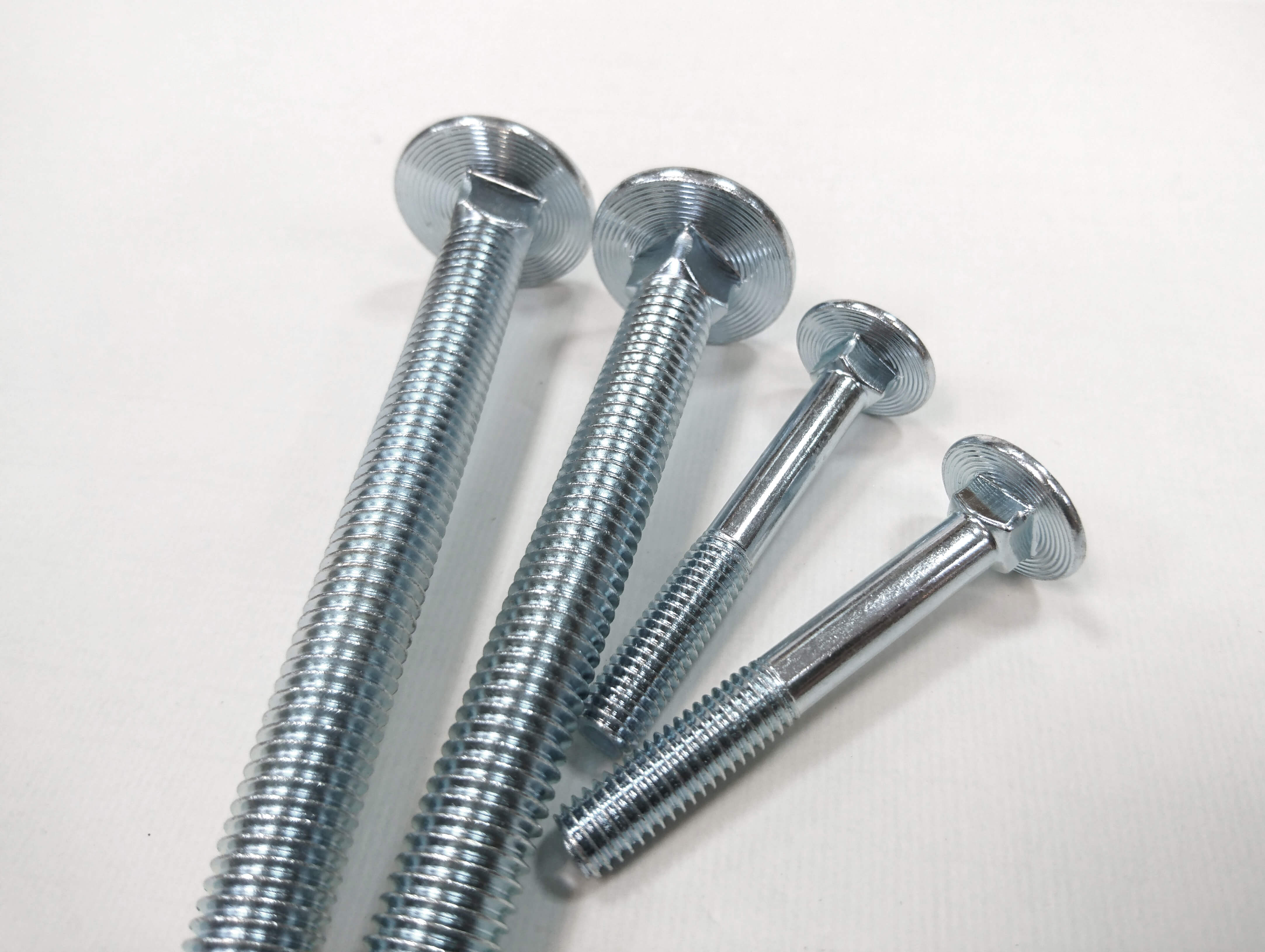 Carriage Bolts